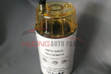Lọc nhiên liệu Hyundai  319457L001
